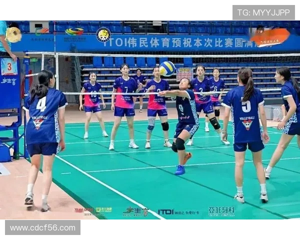 成都排球队选拔赛精彩点评展现团队节奏与个人表现的完美结合 成都排球队选拔赛精彩点评展现团队节奏与个人表现的完美结合