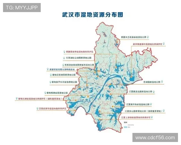 武汉排球队灵活性分析与战术调整的深度探讨 武汉排球队灵活性分析与战术调整的深度探讨