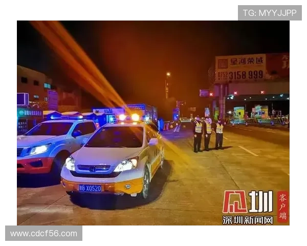 深圳排球队力量之争引发热议球迷与专家各执己见