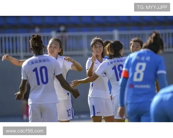 杭州排球队以76分领跑锦标赛积分榜展现强大实力