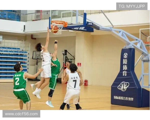 篮球团队协作实力排行榜揭晓各队表现与潜力分析