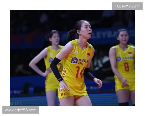 武汉排球队整体压制的优势与不足分析及未来发展方向探讨