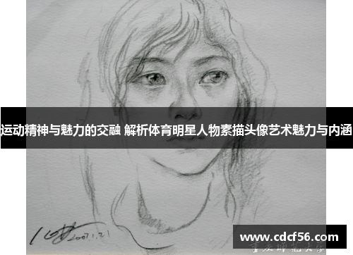 运动精神与魅力的交融 解析体育明星人物素描头像艺术魅力与内涵