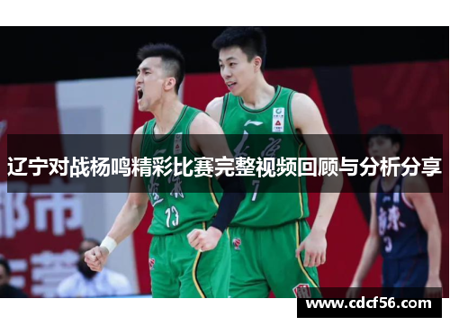 辽宁对战杨鸣精彩比赛完整视频回顾与分析分享